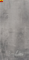 20423